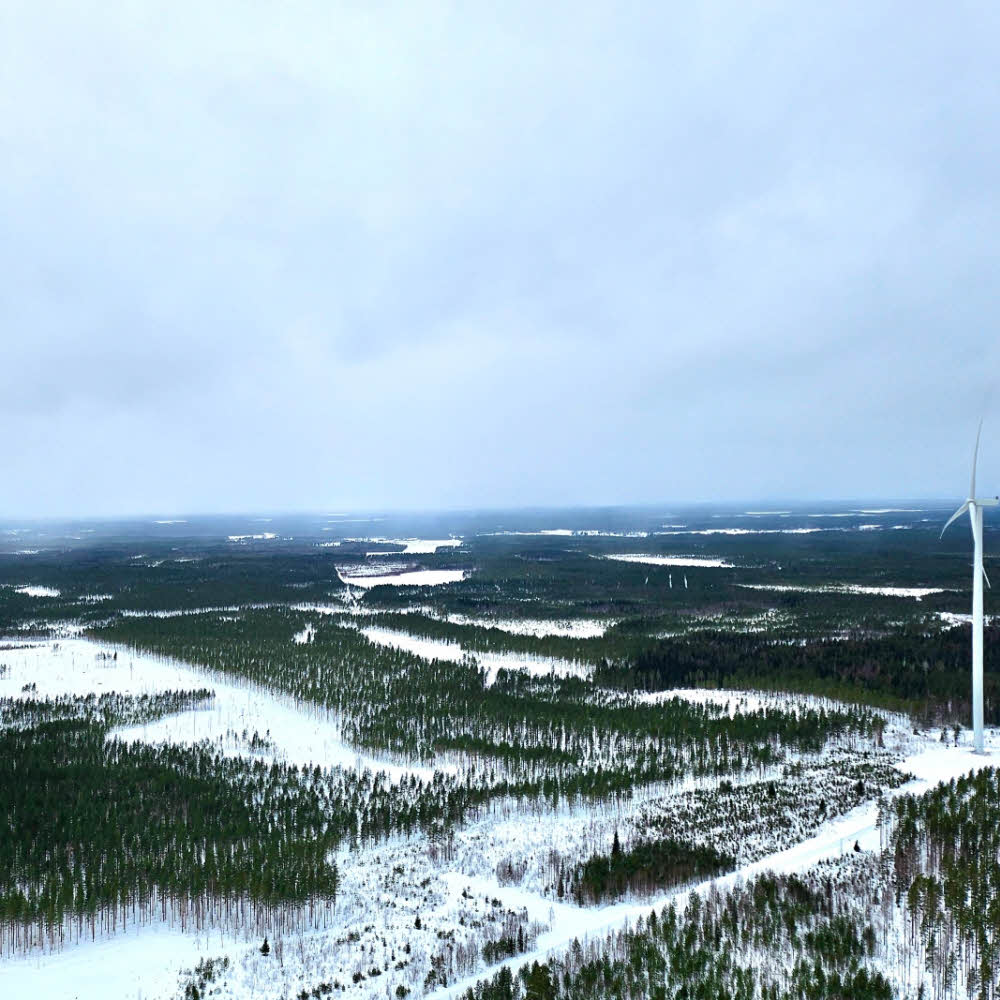 Kokkoneva windpark